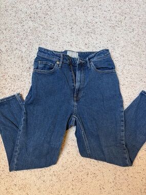 Everlane “The Curvy Cheeky Jean”, size 28 Crop